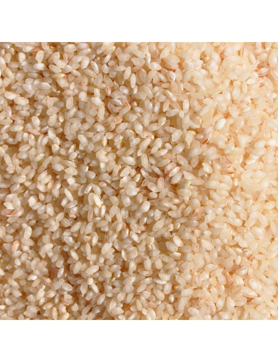 Sarı Kılçık Pirinç